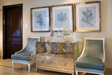 Transitional - Sandy Cove